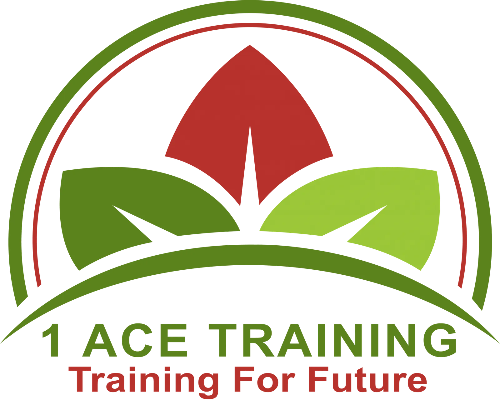 1 Ace Training Birmingham